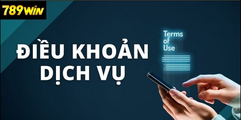 Vi Phạm Và Xử Lý Tranh Chấp