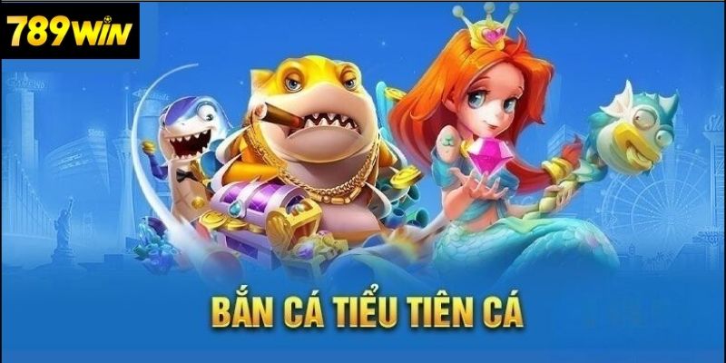 Câu hỏi thường gặp (FAQ)